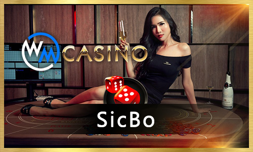 bet595 bruxo bet cassino Terminal móvel